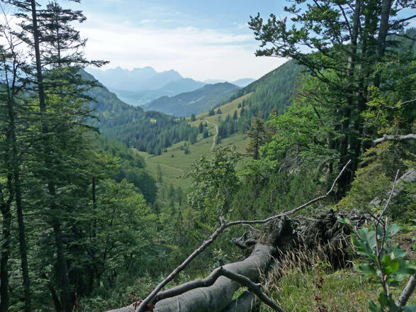 Aufstieg zum Wasserklotz, Blick zur Dörflmoaralm 