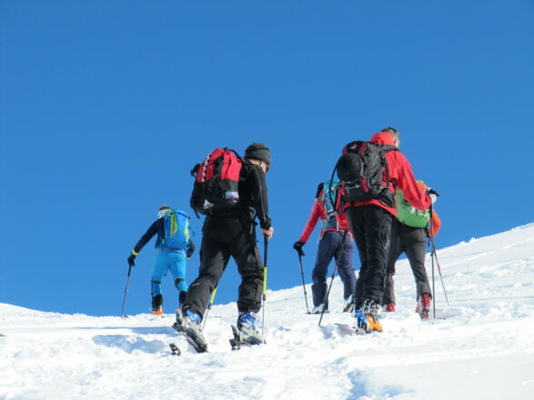 Im Gänsemarsch dem Gipfel entgegen