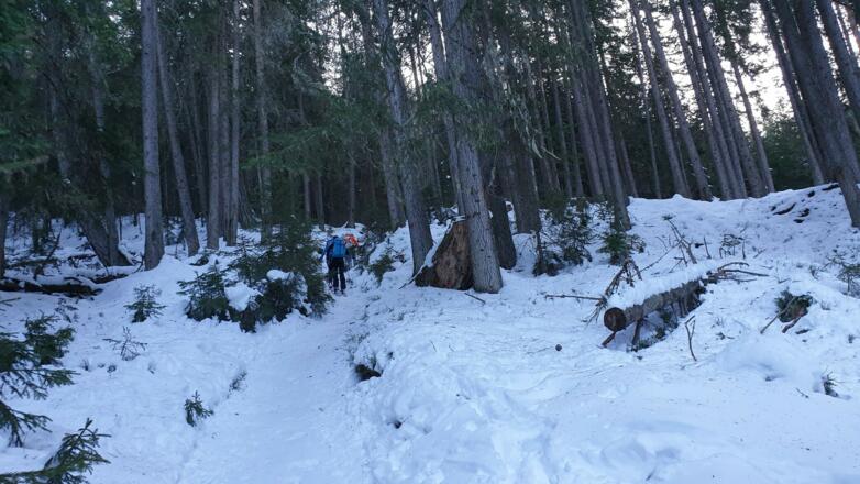 Aufstieg durch den dichten Wald