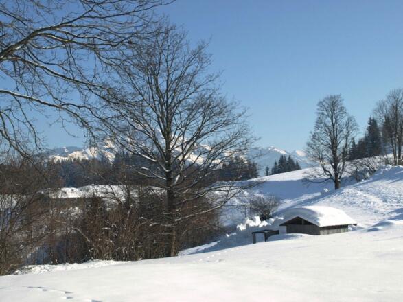 Scheffau_Blaikner Winterrunde_Wilder Kaiser