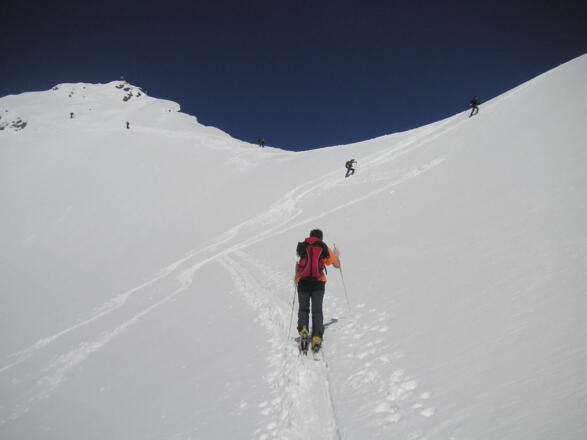 Gipfelkar am Grüne Tatzenferner