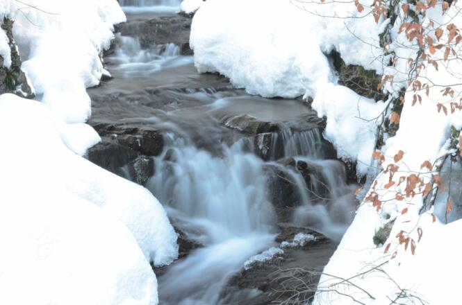 Scheffau_Rehbach Winterrunde_Wilder Kaiser