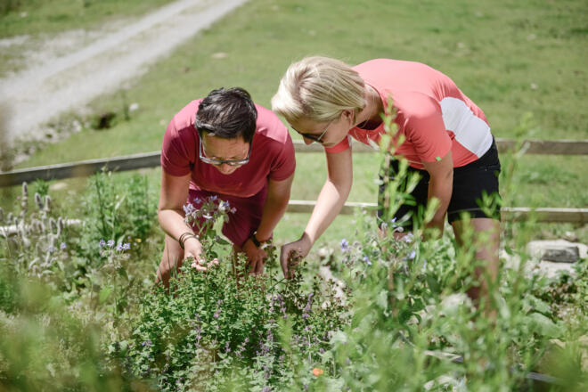 Kräuterwandern