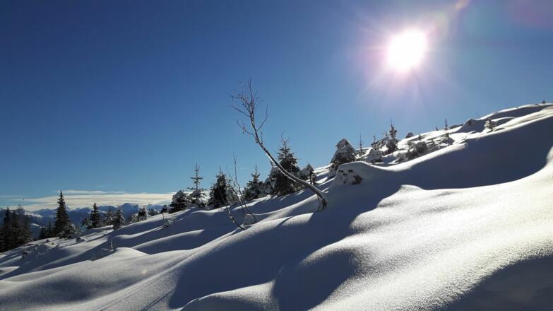 Ellmau_Biedringer Platte_Winterwanderung_Wilder Kaiser