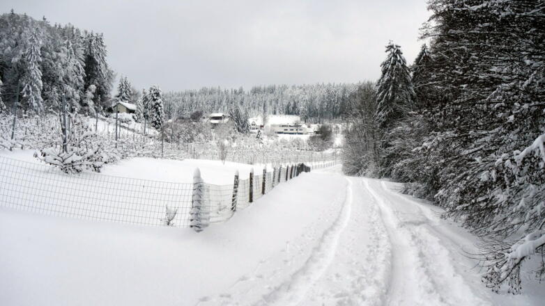 Zwischen Bach und Zaun durch die Senke