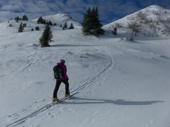 Anstieg zum Ostgratrücken des Schledererkopf