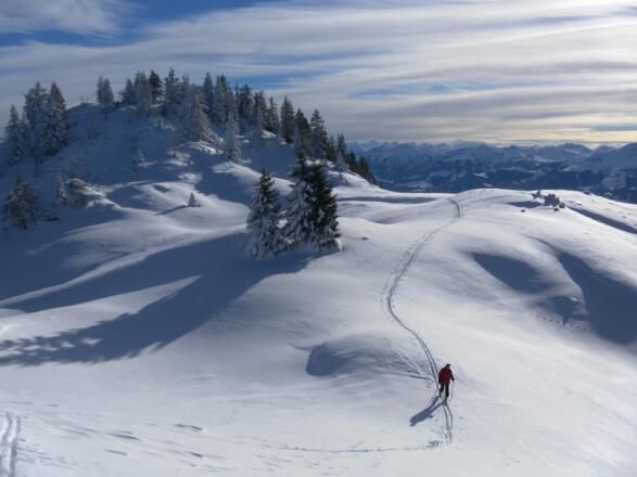 im Sattel zum Schnappen