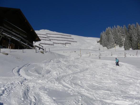 Bichlalm und Hochetz