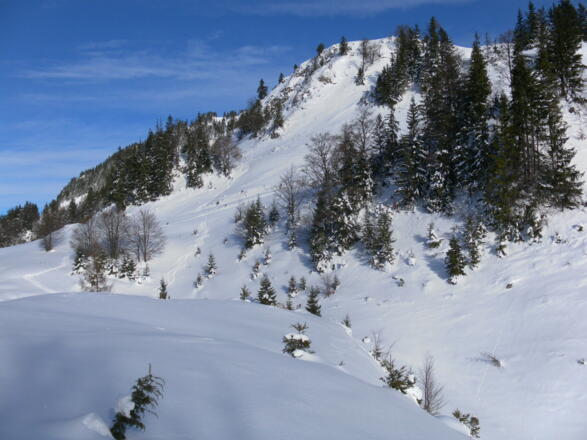 Südhänge zur Unteren Schnappenalm, in Hangmitte quert die Almstraße