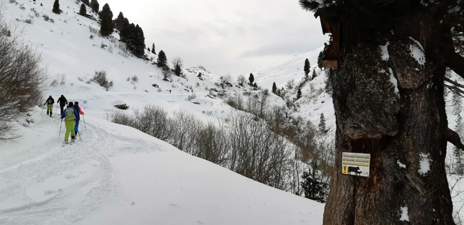 ... hinein in das Nurpernstal führt.