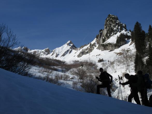 Die Sonne bescheint bereits die Hänge, während wir noch im Schatten bergansteigen.