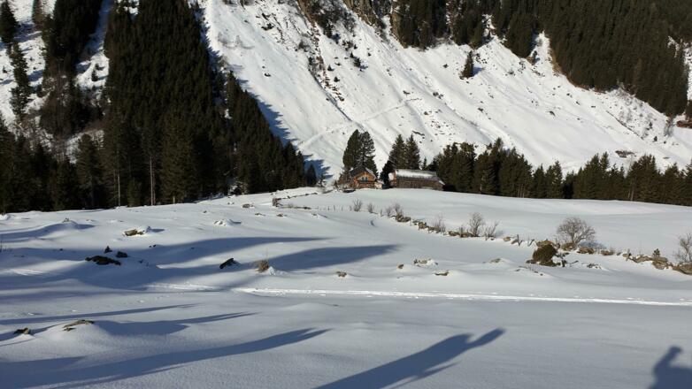 Bereits nach Verlassen der Forststraße im bereich der Haglachalm
