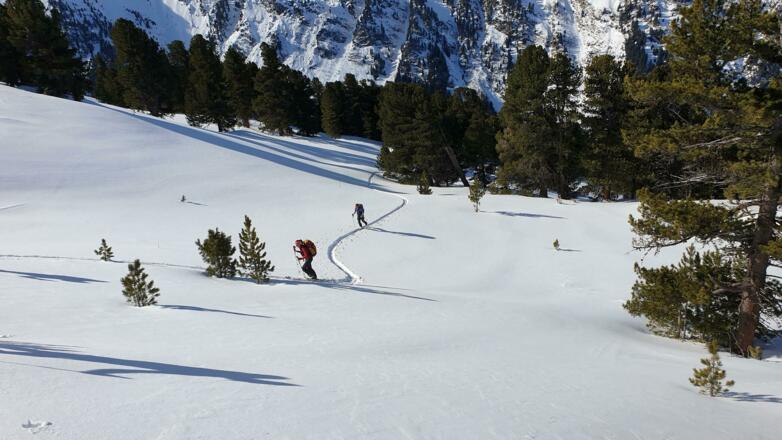 An der Waldgrenze, nie steil aber tolles Skigelände