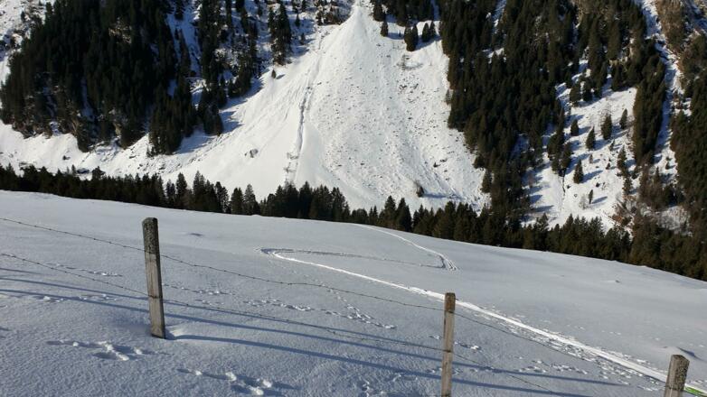 Aufstiegsgelände unterhalb der Sternbachalm