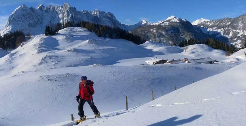 Stubenalm vor Wildem Kaiser