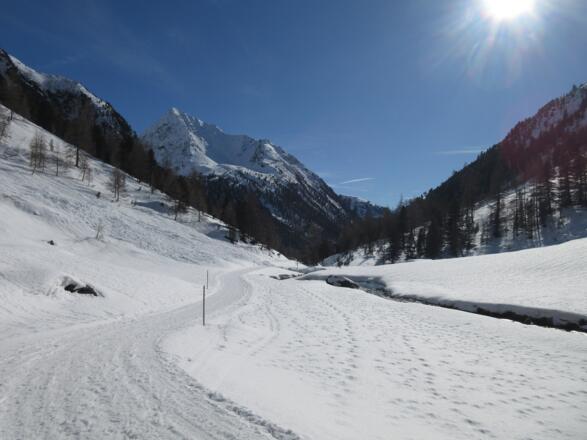 Blick zurück auf den Wanderweg