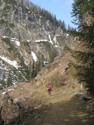 Frühling am Riedingbach zur Schliereralm