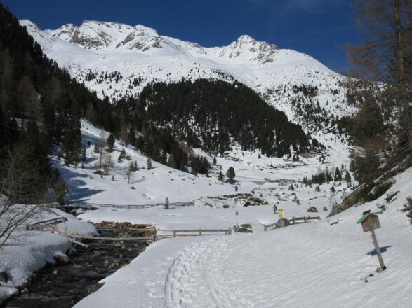 Das letzte Wegstück folgt dem direkten Pfad zur Hütte.