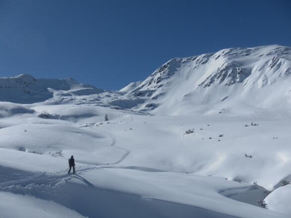 Gamskogel aus der Neualm