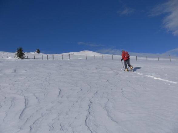 am Südostrücken zum Teuerlnockgipfel