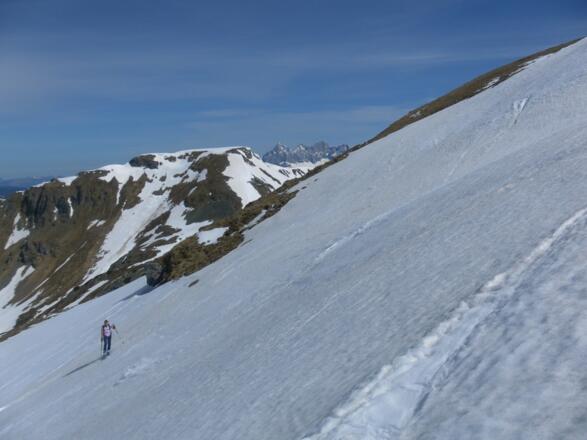 Osthänge des Roßkogels mit Dachsteinblick