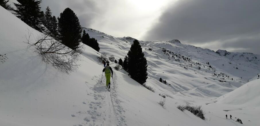... auf dem Forstweg (u. U. kaum erkennbar) aufwärts, die zur Unteren Nurpensalm führt. Ganz hinten der Rastkogel (2762 m), links der Rosskopf.