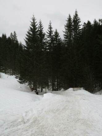 Abzweig auf den gewalzten Weg zurück nach Baad.