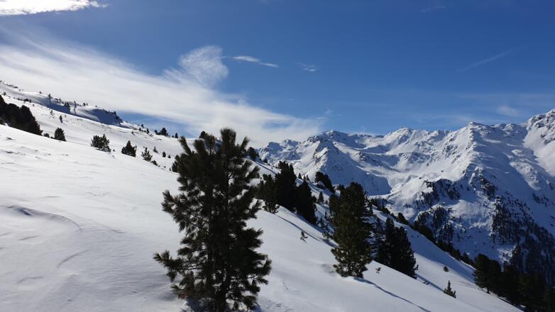 An der Waldgrenze - Blick Richtung Süden