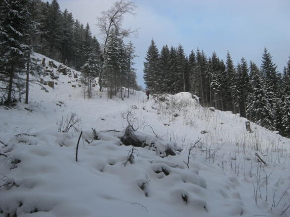 Almweg und Waldanstieg zu den Ernsthütten