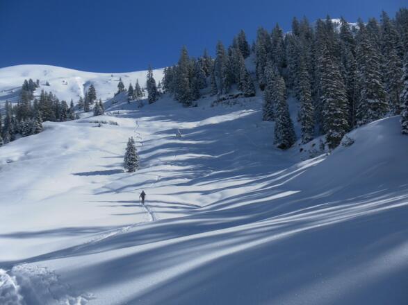 Wiese zur Miesenbachalm