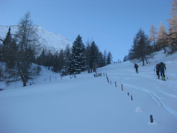 lichter Wald über der Ernsthütte