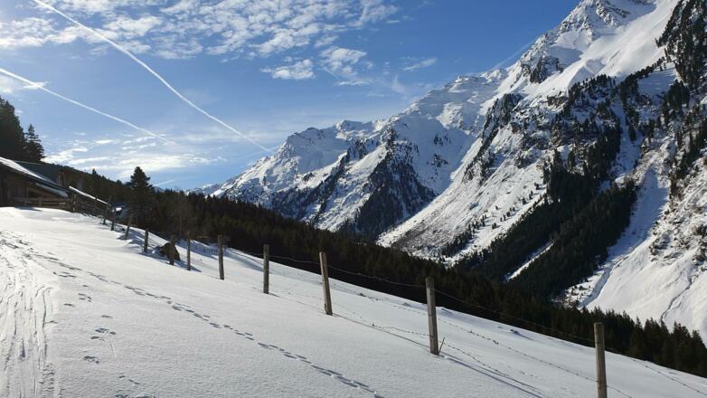 Sternbachalm - Blick taleinwärts