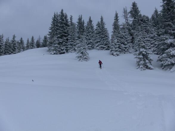 am breiten Südrücken zum Brunnerkogel