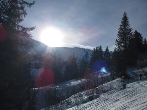 Die Sonne kommt langsam über den Hochalppass, so dass wir langsam den Schatten verlassen.