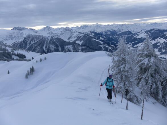 Verbindungskamm Brunnerkogel-Stuckkogel
