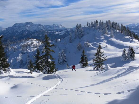 Anstieg zum Schnappen