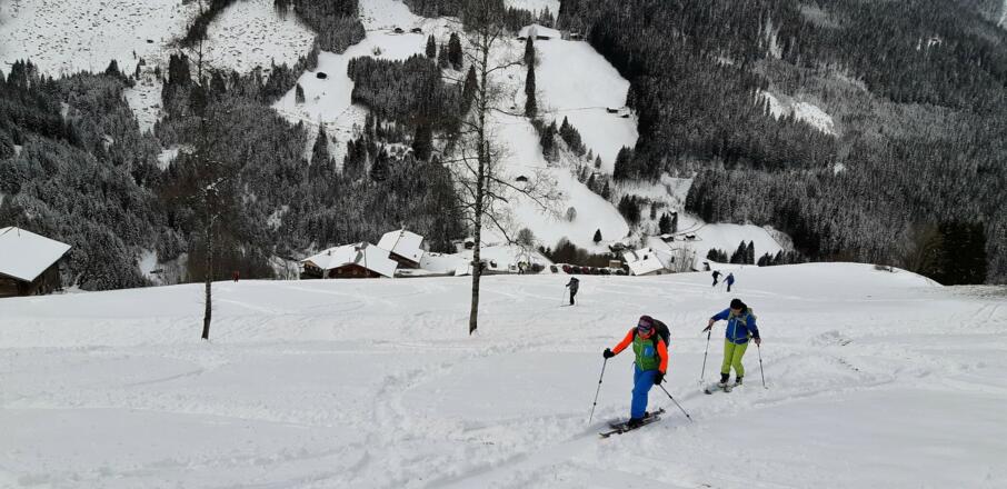 Von Innerst über die Wiese nach oben ...