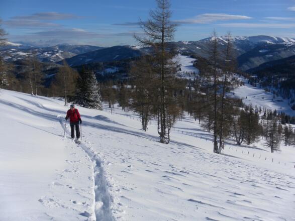 Zustieg zum SO-Rücken