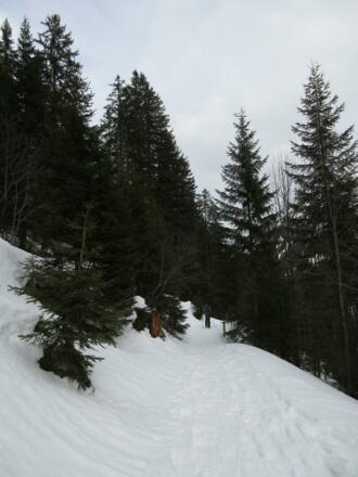 Vom Talende geht es wieder recht eben bis zur Bärgunthütte.