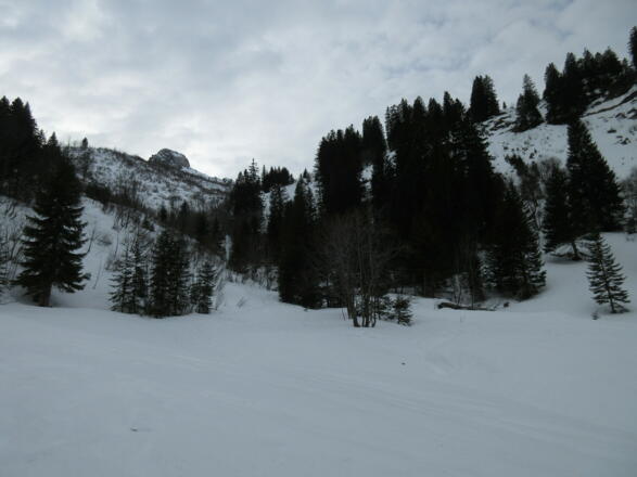 Hier zweigen wir vom Sommerweg ab und orientieren uns an den Skitourgehern, die im etwas flacheren Hang bergauf gestiegen sind.