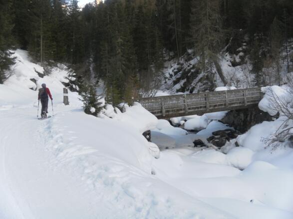 Einmündung in des Forstweg