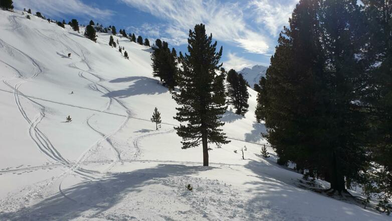 Tolles Abfahrtgelände im oben lichten Wald