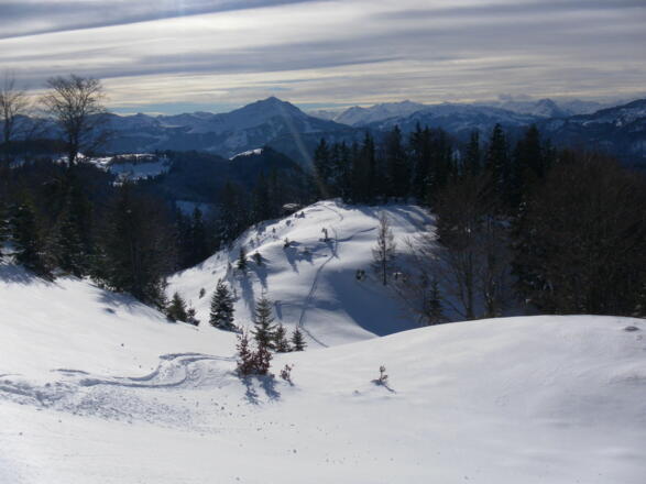 Südhänge zur Unteren Schnappenalm