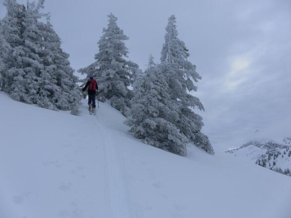 letzte Schritte zum Gipfel