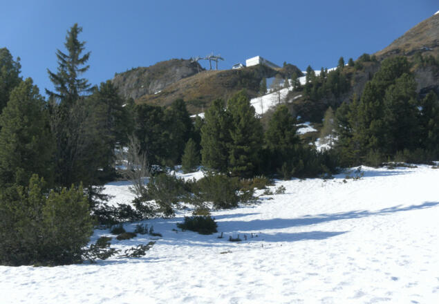 Variante zu Gamsleiten 1