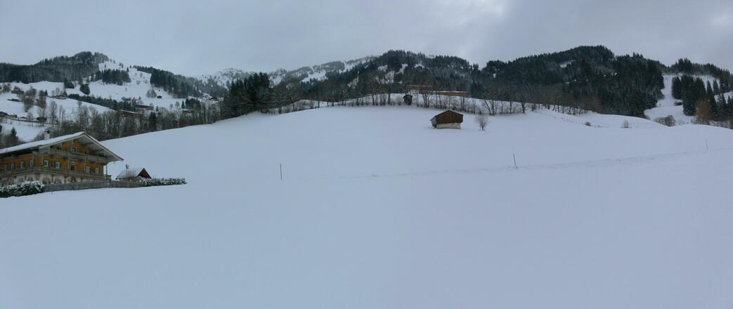 Sonnbergwiesen mit Schneise ganz rechts
