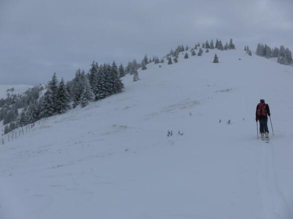 Brunnerkogel Gipfelkuppe