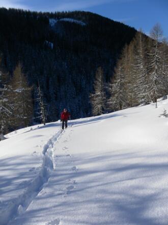 oberhalb der Bonner Hütte