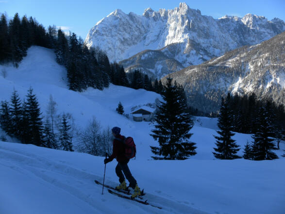 Wiesenalm vor Wildem Kaiser