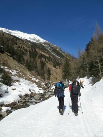 Entlang des Horlachbachs, wo die Südhänge bereits schneefrei sind.